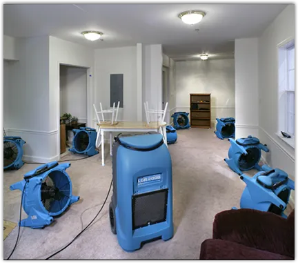 Leak Detection & Repair in Pecan Grove, TX