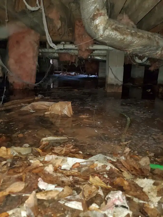 Crawl space flood assessment for Leak Detection & Repair in Pecan Grove